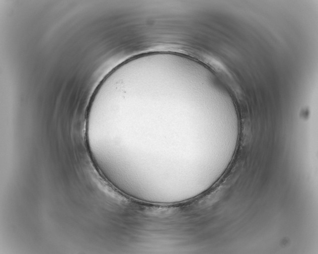 X0000093561284200711051030