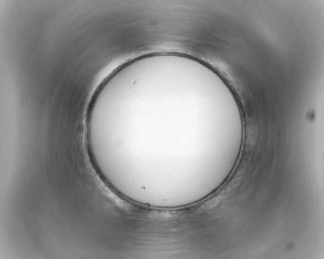 X0000093561286200711051030