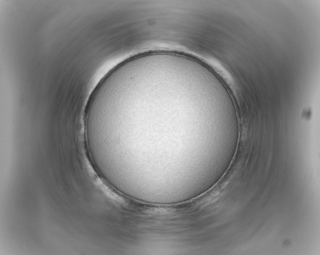 X0000093561287200711051030