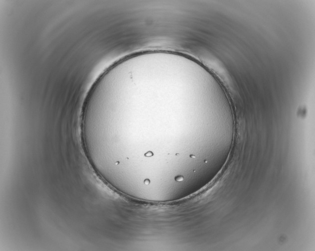 X0000093561288200711051030