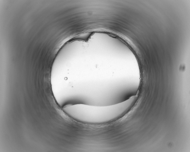 X0000093561289200711051030