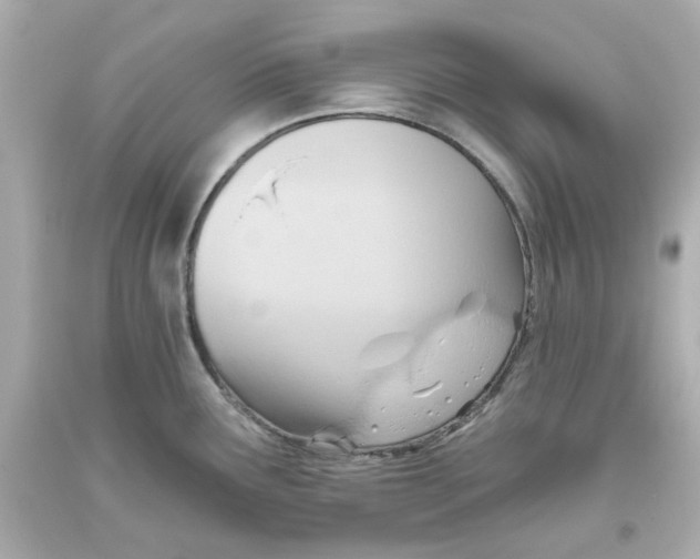 X0000093561291200711051030