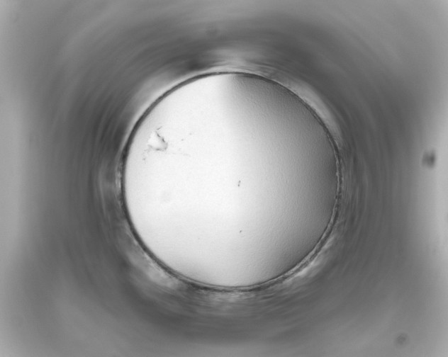 X0000093561292200711051030