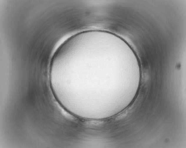 X0000093561294200711051030