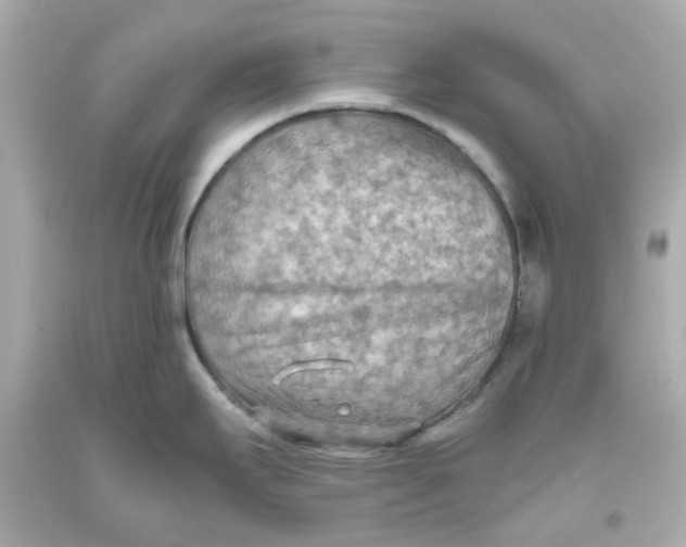 X0000093561295200711051030