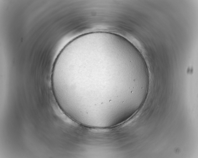 X0000093561296200711051030