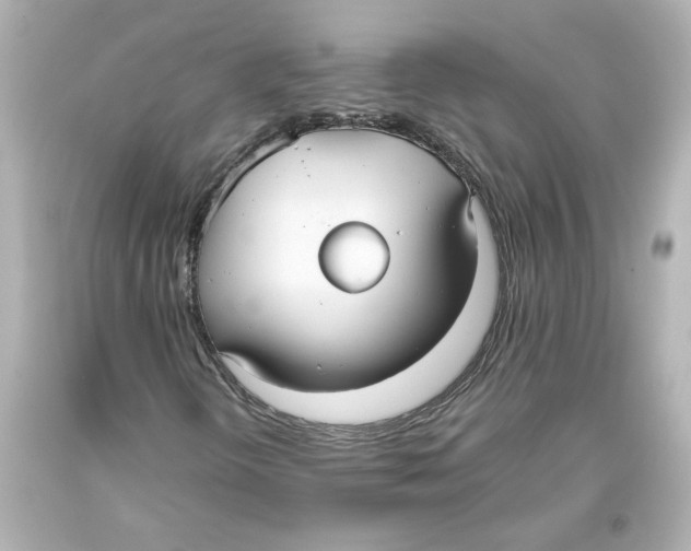 X0000093561298200711051029