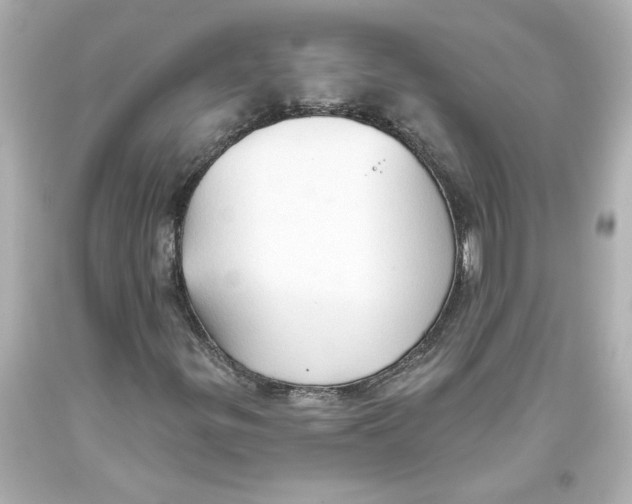 X0000093561299200711051029