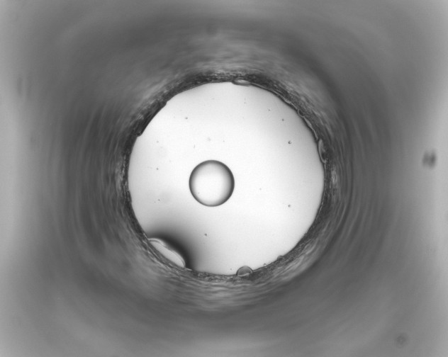 X0000093561300200711051029