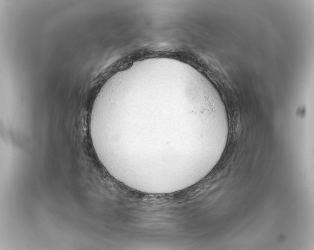 X0000093561301200711051029