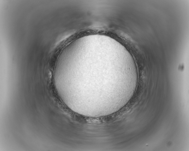 X0000093561302200711051029