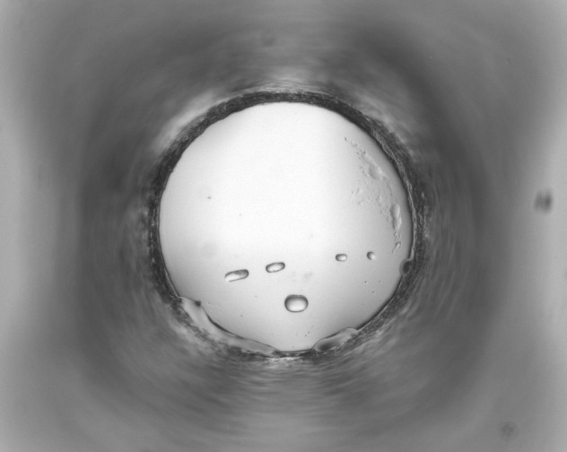 X0000093561304200711051029