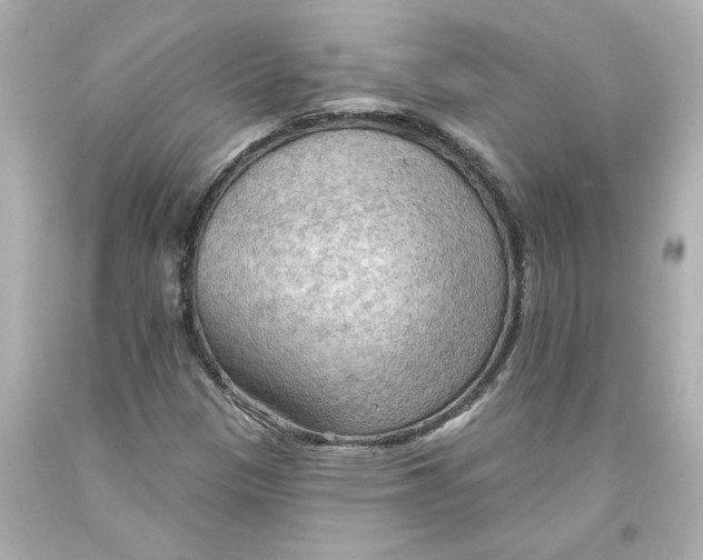 X0000093561305200711051029