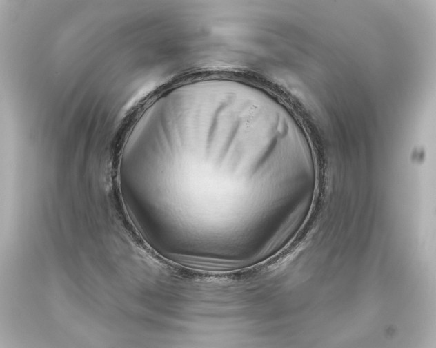 X0000093561306200711051029