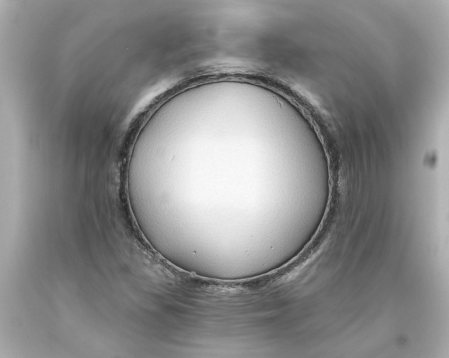 X0000093561309200711051029