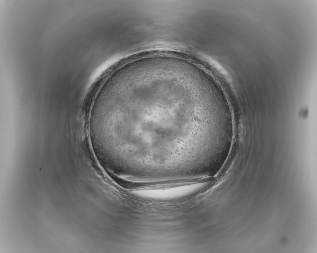 X0000093561310200711051029