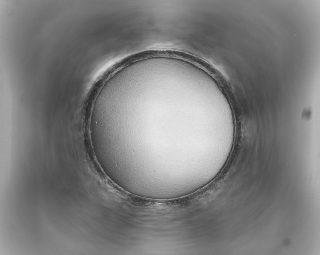 X0000093561311200711051029