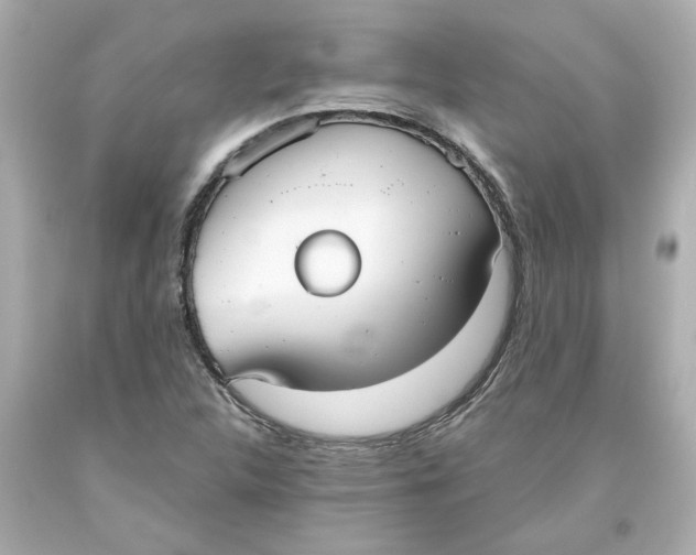 X0000093561312200711051029