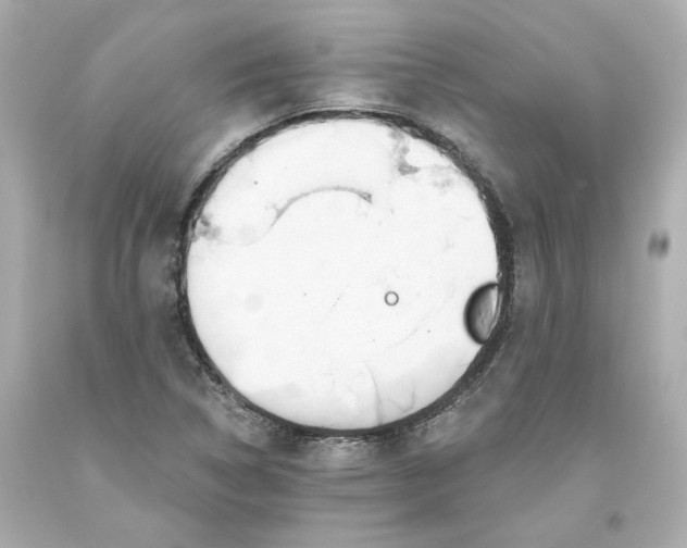 X0000093561314200711051029