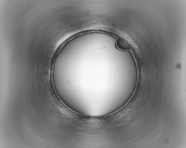 X0000093561316200711051029