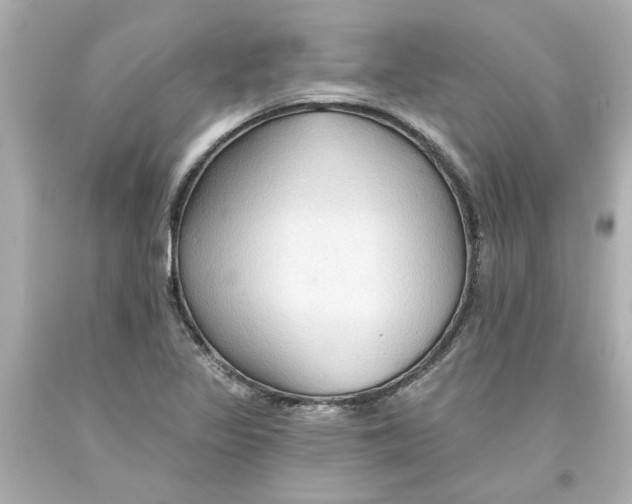 X0000093561317200711051029