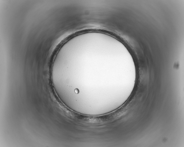 X0000093561318200711051029