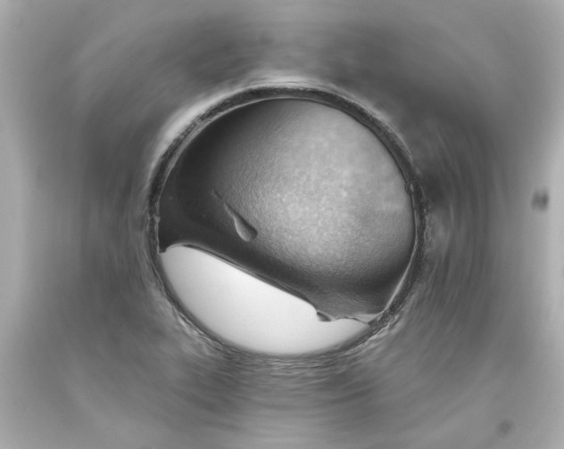 X0000093561319200711051029