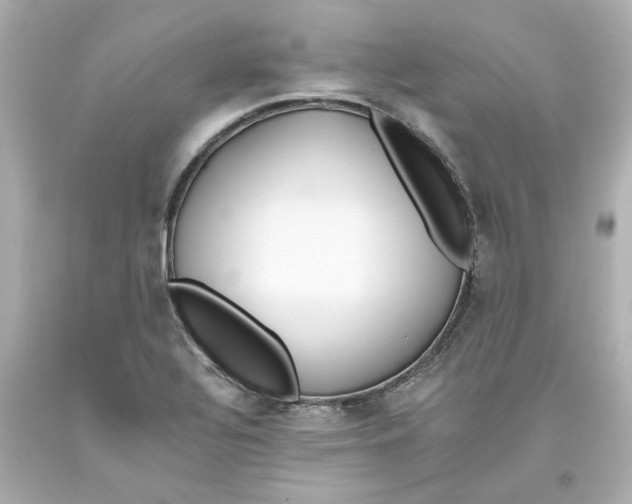 X0000093561320200711051029