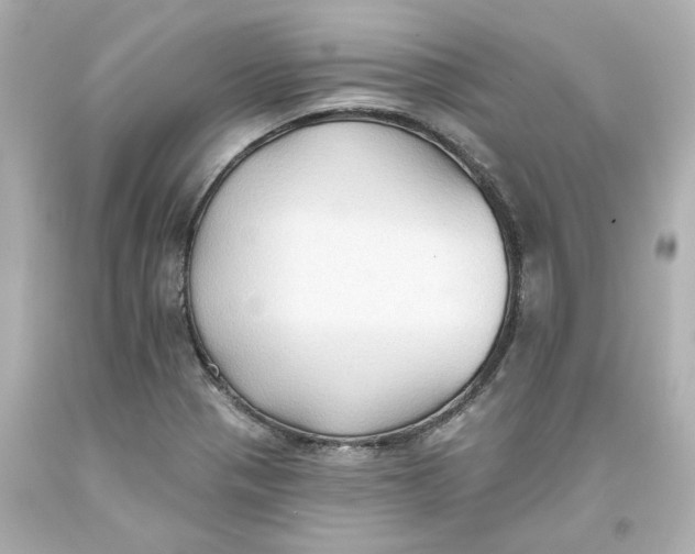 X0000093561321200711051029