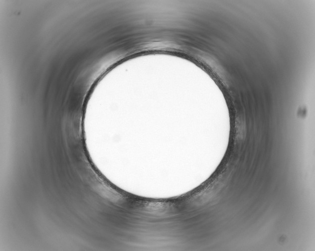 X0000093561322200711051029