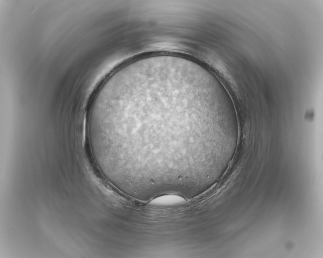 X0000093561323200711051029