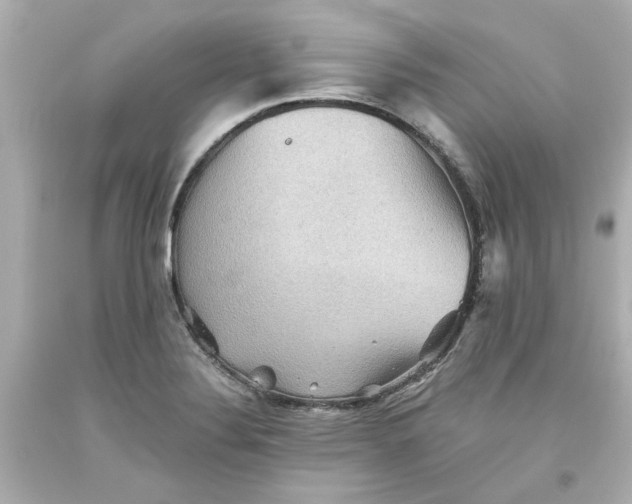 X0000093561324200711051029