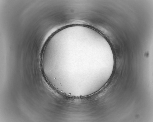 X0000093561326200711051029