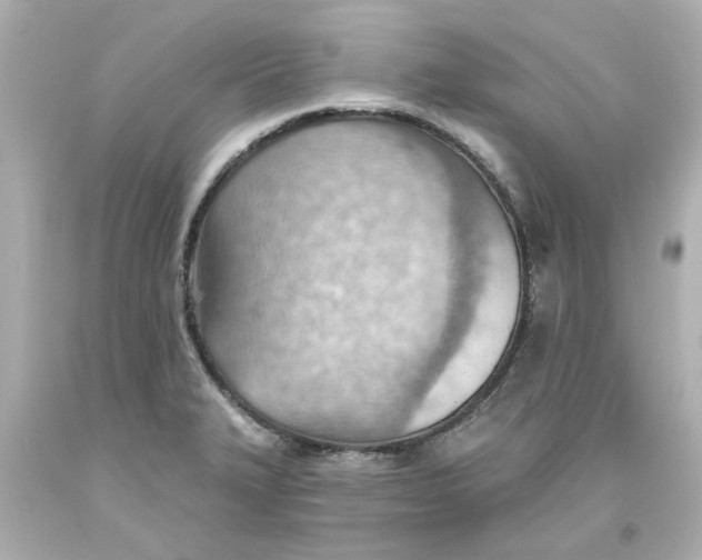 X0000093561327200711051029