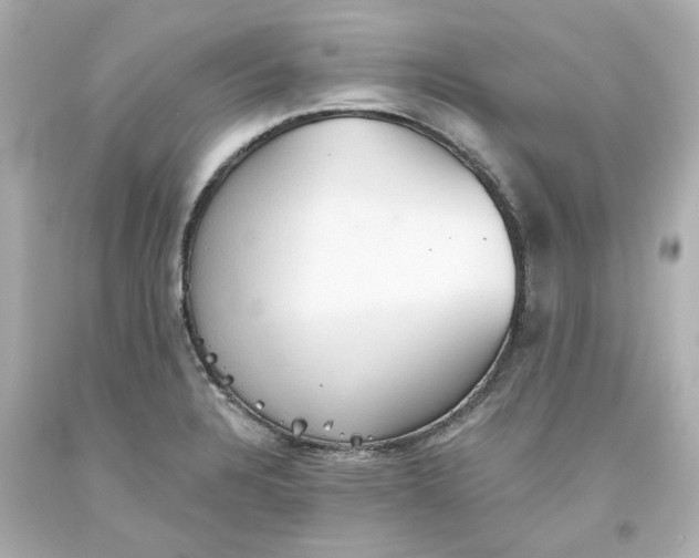 X0000093561328200711051029