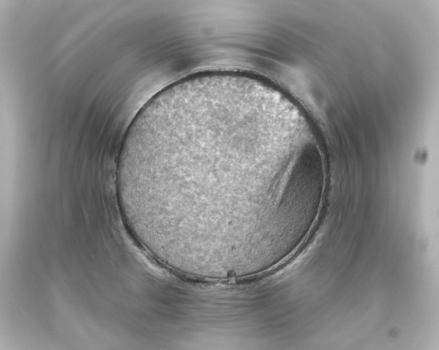 X0000093561329200711051029