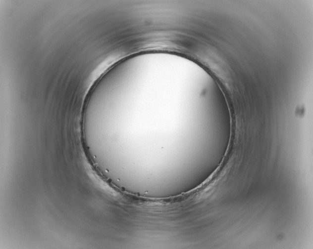 X0000093561330200711051029