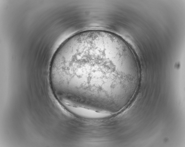 X0000093561333200711051029