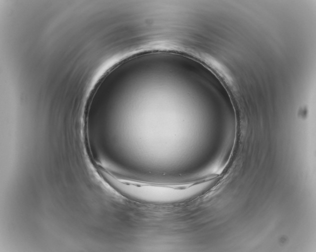 X0000093561334200711051029