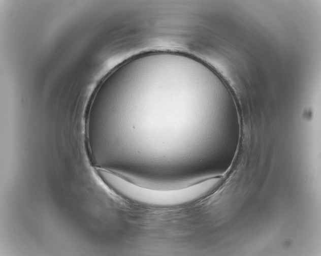 X0000093561335200711051029