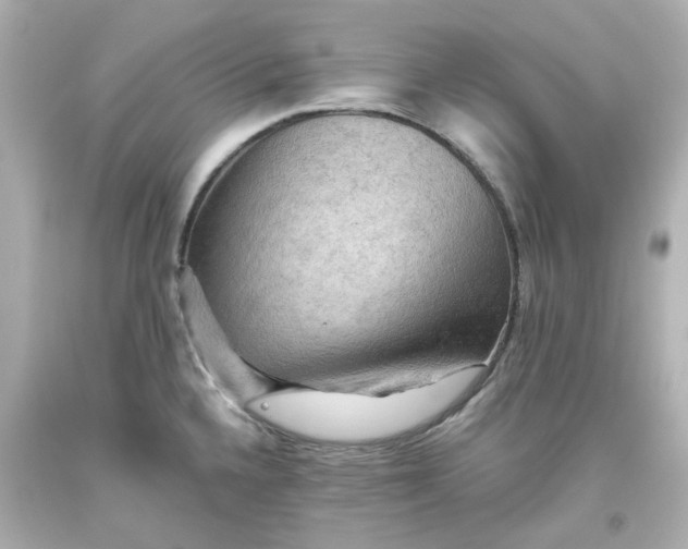 X0000093561336200711051029