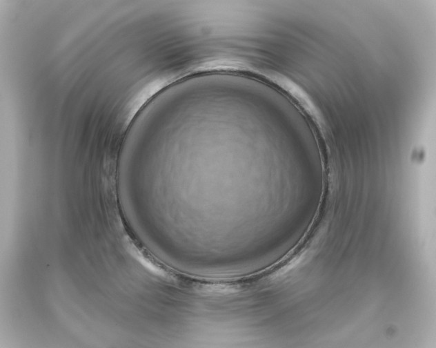 X0000093561337200711051030