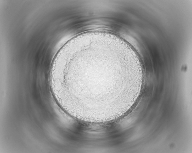 X0000093561338200711051030