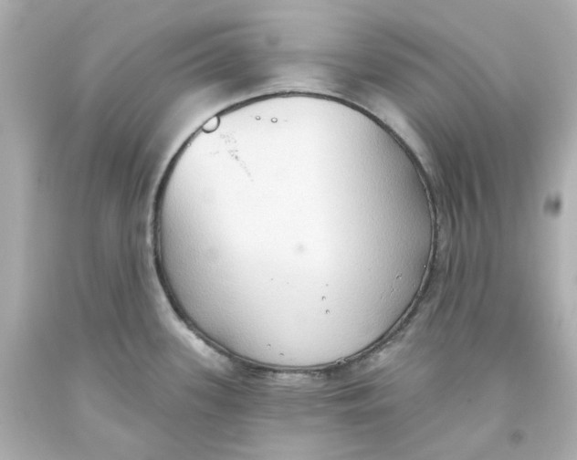 X0000093561339200711051030