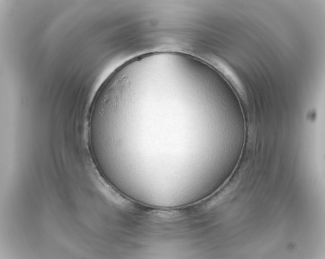 X0000093561340200711051030