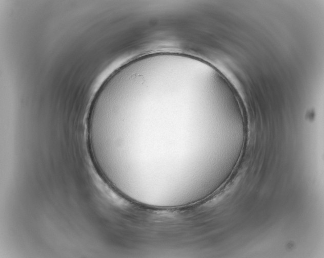 X0000093561341200711051030