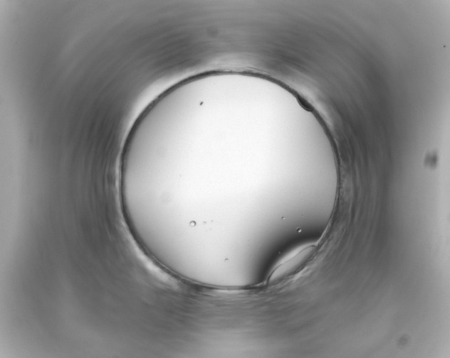 X0000093561343200711051030