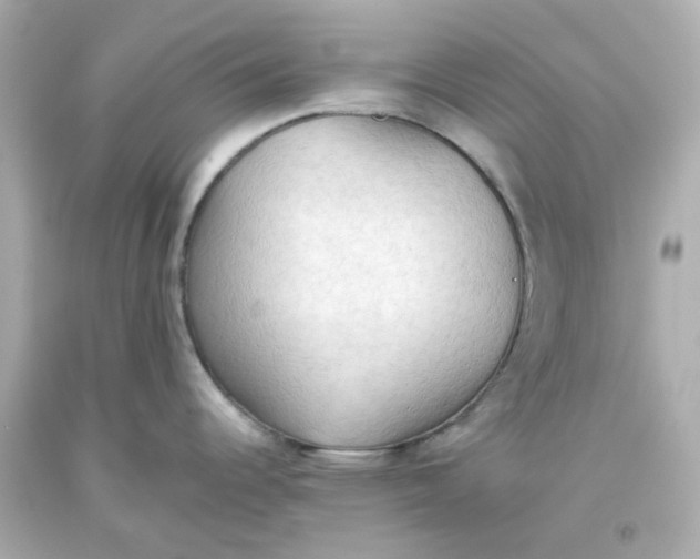 X0000093561344200711051030