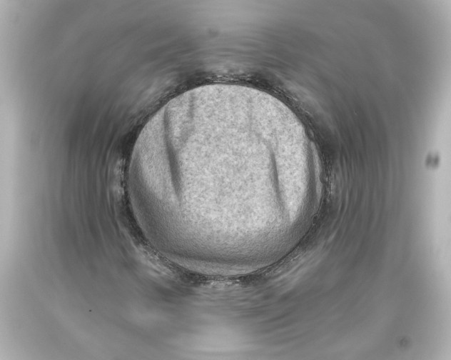 X0000093561346200711051029