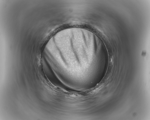 X0000093561348200711051029